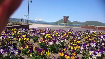 施設からの眺望 / 13