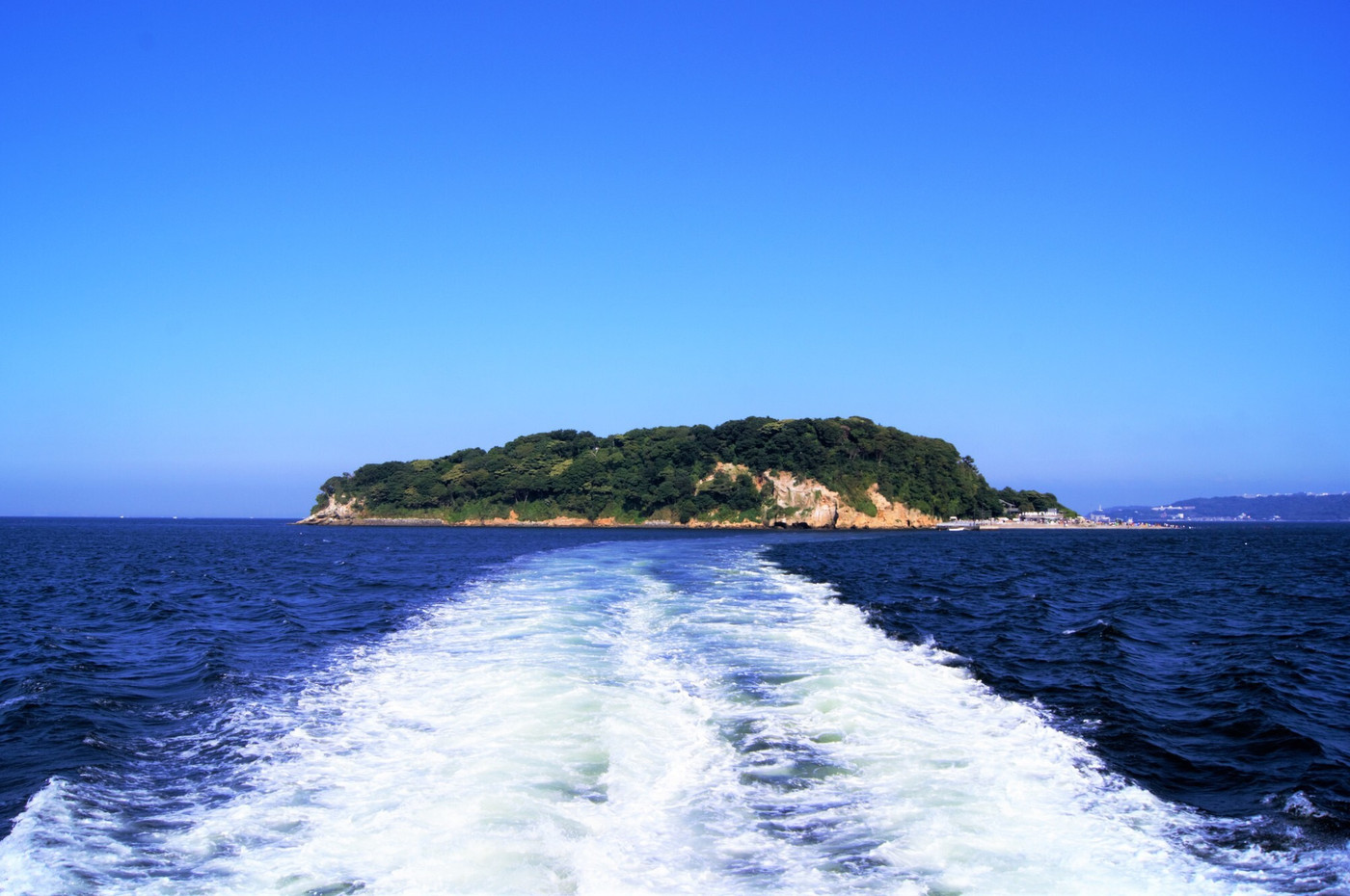 猿島、自然、横須賀