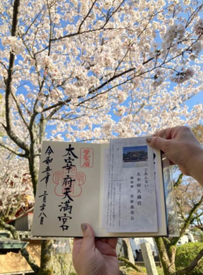 hiro_ko_toriさんの写真 / 2