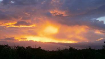 施設からの眺望 / 16