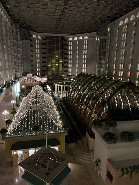 risa_duckさんの写真 / 1