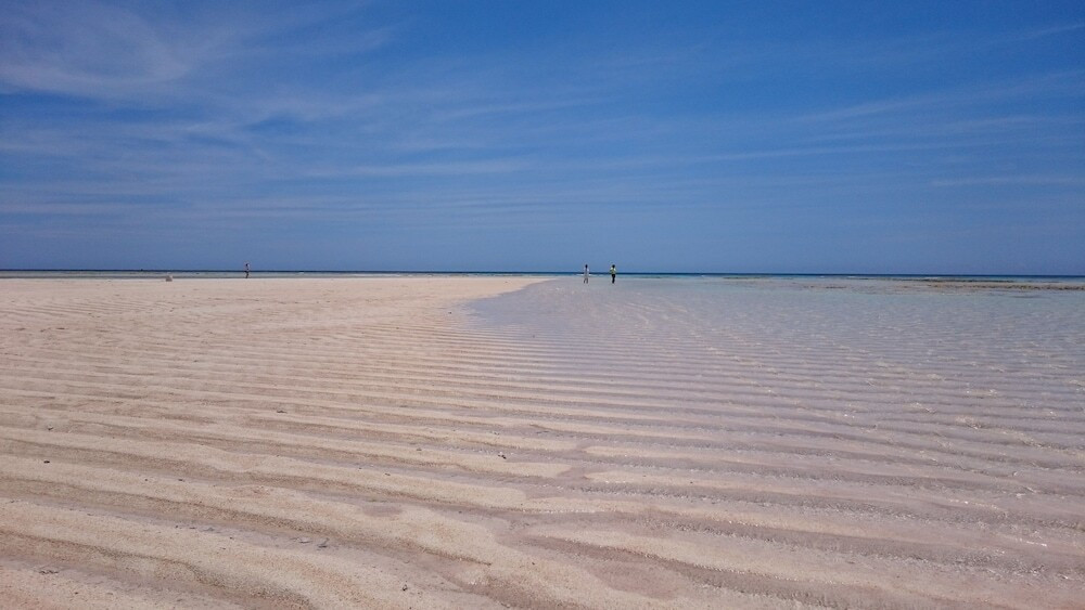 施設からの眺望