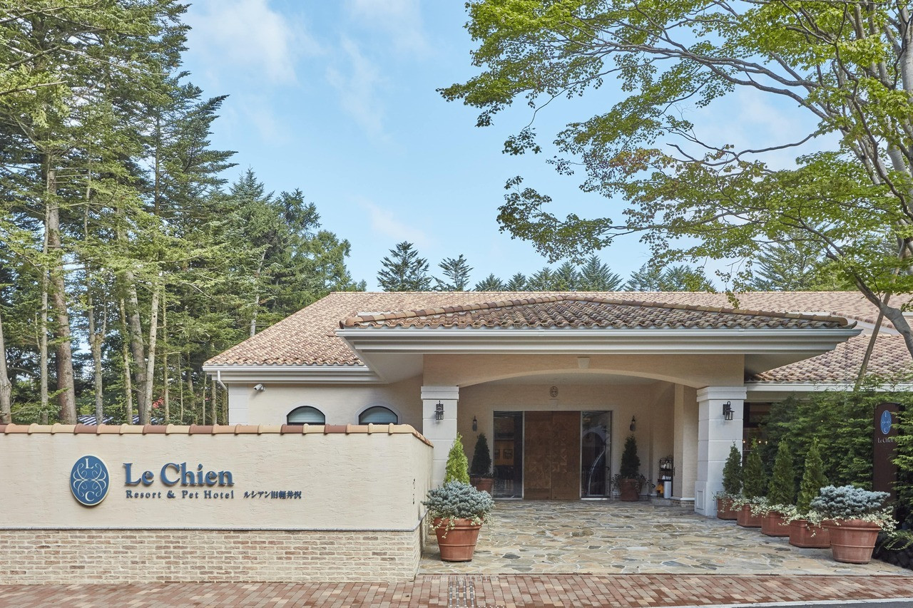 愛しのペットも一緒にクリスマスを3952560