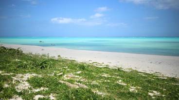 施設からの眺望 / 15