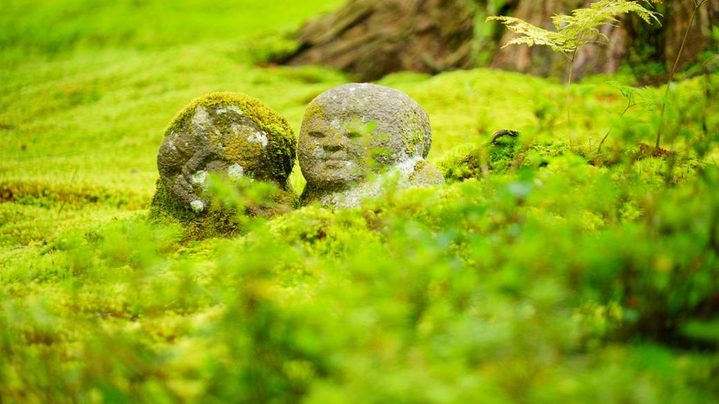 美しい庭園に心洗われる
大原「三千院」 / 2