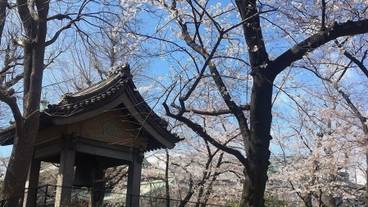 観光スポット / 15