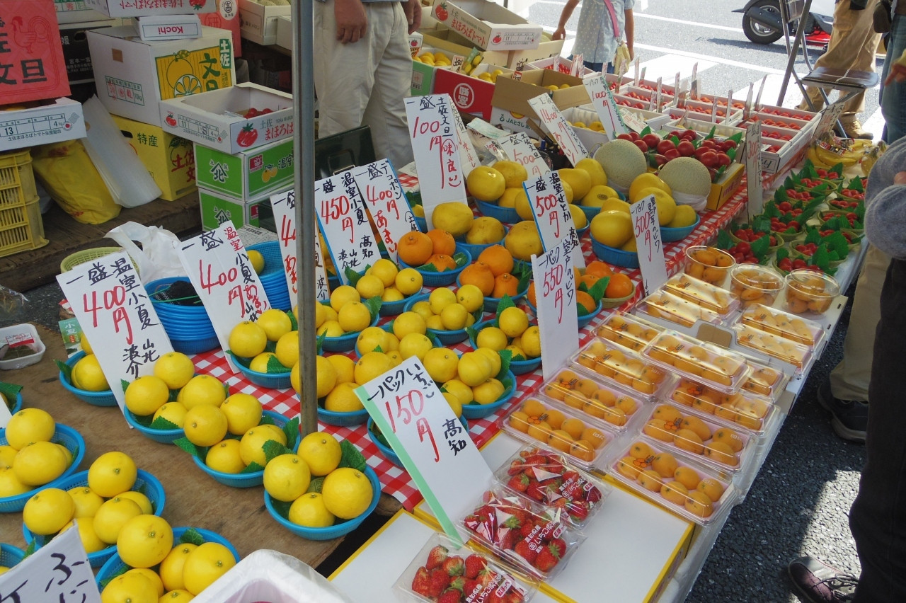 採れたての自然の恵み！野菜や果物551704