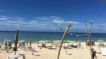 ビーチ / オーシャン ビュー / 10