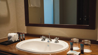 【ロッジ棟】デラックスツイン(ベッド2台)