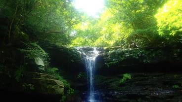 ランド ビュー / 17