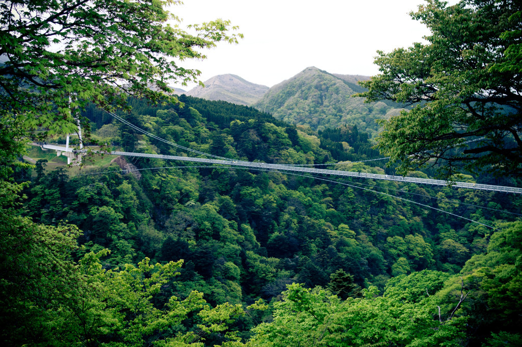 日本一高い吊り橋「九重夢大吊橋」1320669