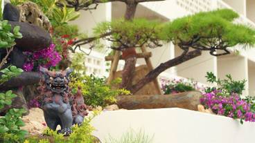 建物のデザイン / 13