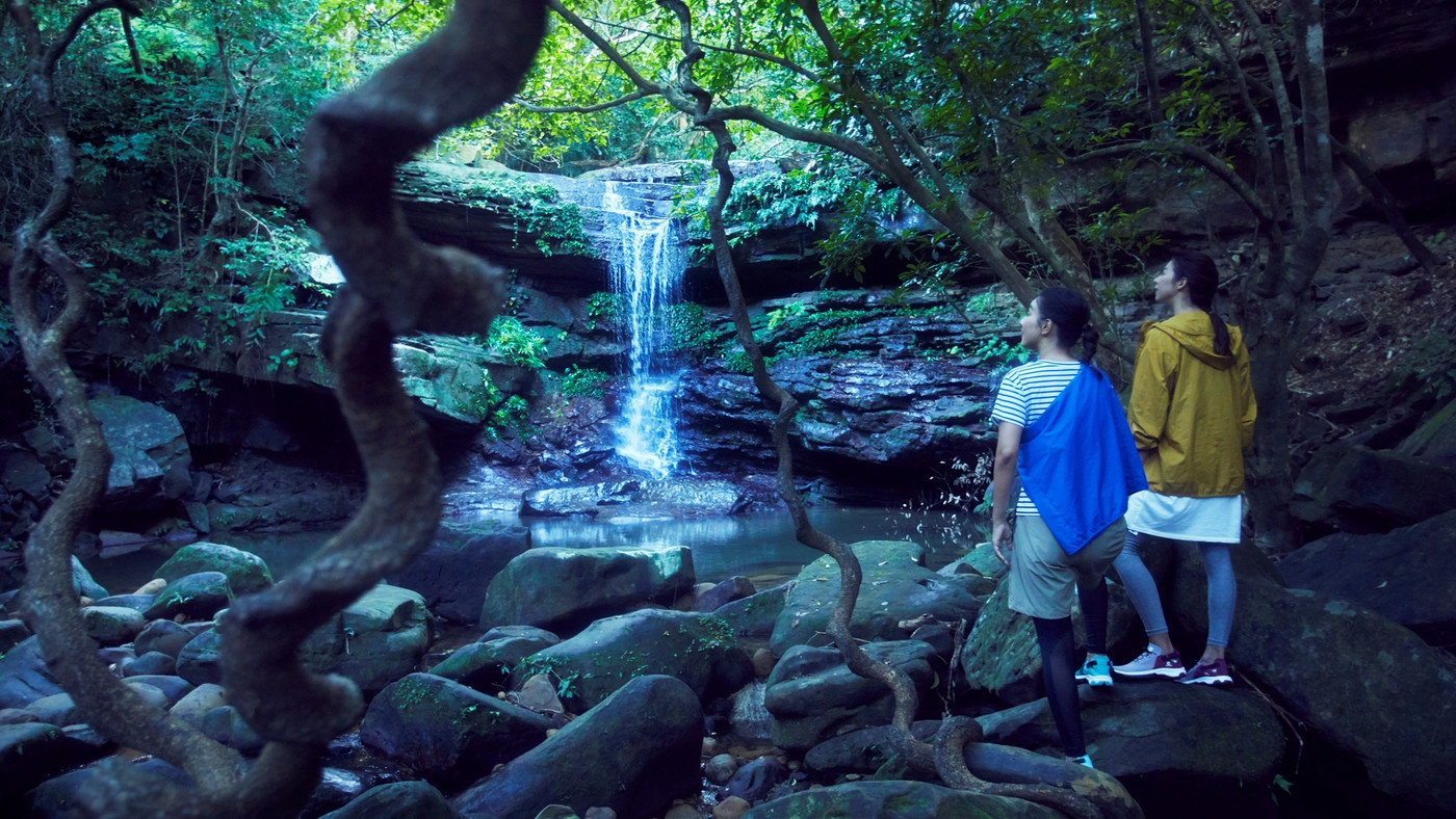 1.星野リゾート　西表島ホテル3653833