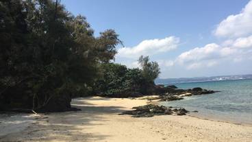 施設からの眺望 / 23