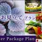 ◆夕食・朝食は部屋食◆ お得な期間限定!!!【冬のお見立てプラン】 | 伊東温泉 青山やまと