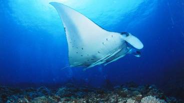 フィットネス設備 / 5