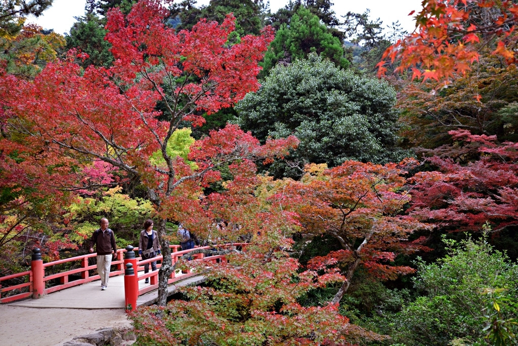 1）紅葉谷公園【宮島】741885
