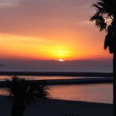 伊良湖リゾート&コンベンションホテル(愛知県 リゾートホテル) / 5