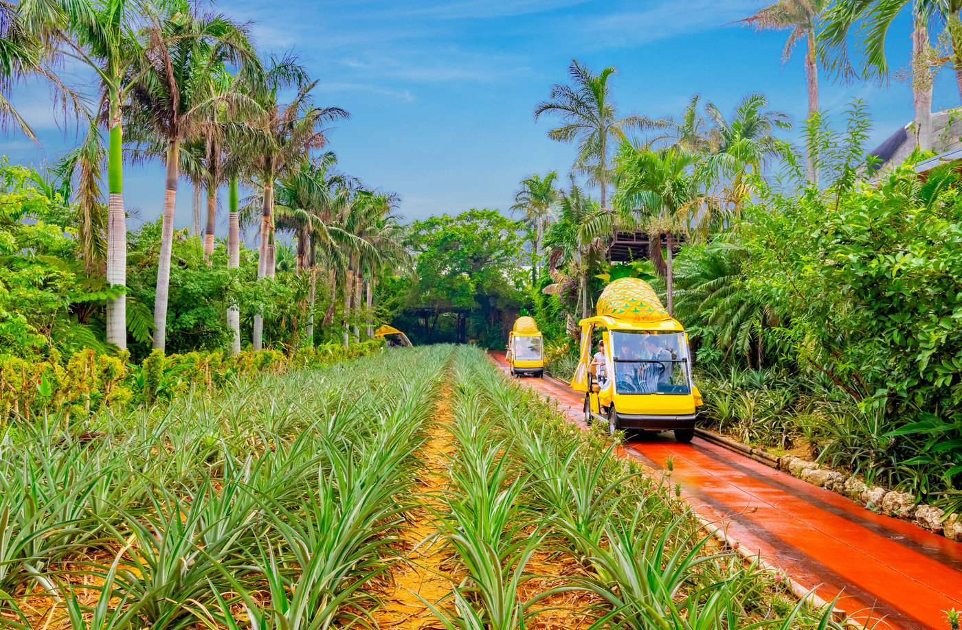 爽やかな甘さに包まれる夢の空間「ナゴパイナップルパーク」2218441