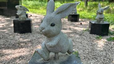 出雲大社のうさぎ(2) / 8