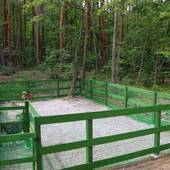 安曇野 温泉 ドッグラン お宿たんたん（長野県 ペンション） / 3