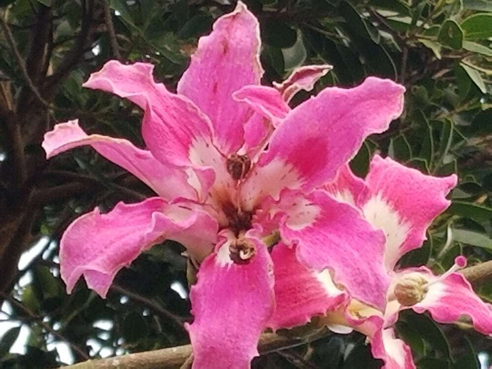 施設からの眺望