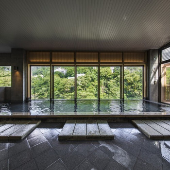 鬼怒川渓谷を目下にうーんとリラックス4239230