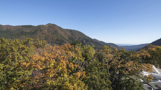 【天然温泉露天風呂付き】“和ツイン (庭側)” 38平米