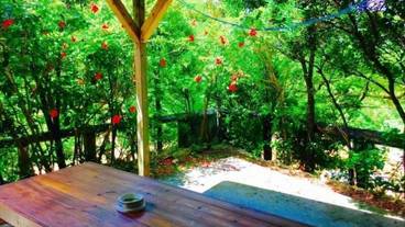 部屋からの景観 / 29