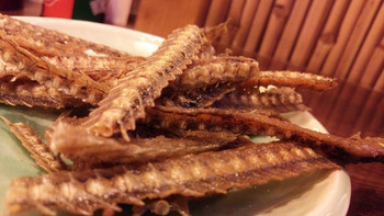 「味治」料理 690650 