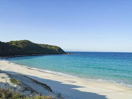 種子島あらきホテル / 3