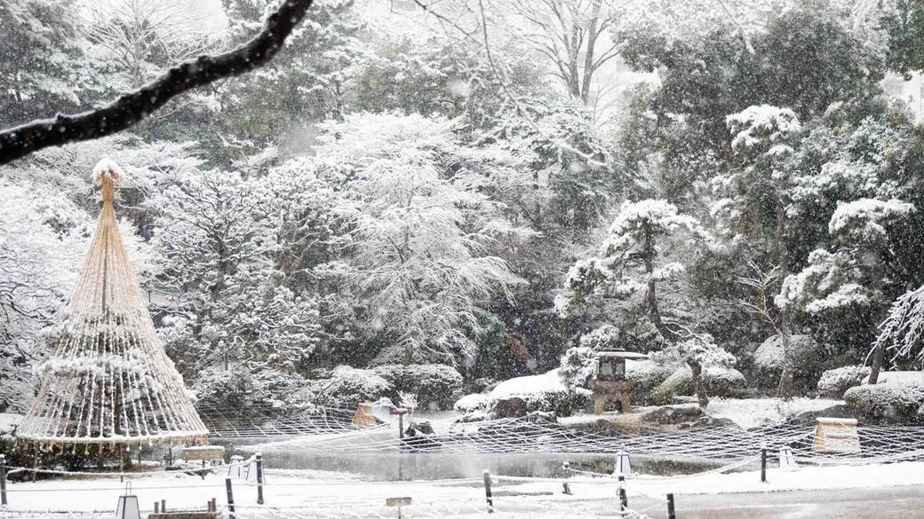 冬の庭園風景 / 5