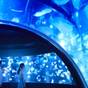 京都水族館入場券付き　宿泊プラン　～ファミリーやカップルにもおすすめ！～ | ホテルグランヴィア京都