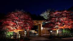 別格本山 西南院