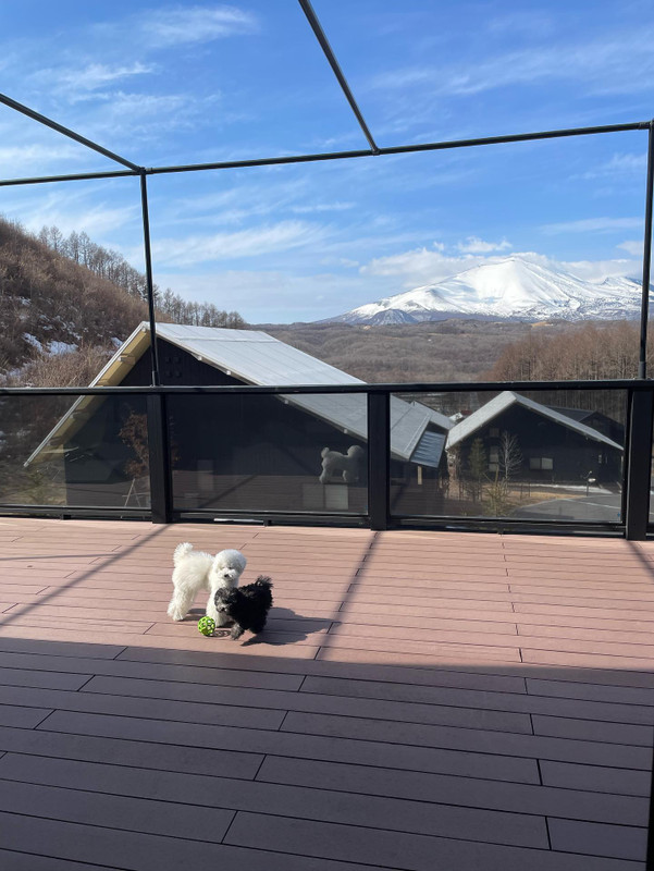 hakutoyubaさんの写真 / 1