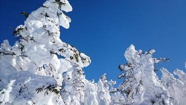 施設の敷地 / 13