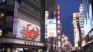 施設からの眺望 / 12