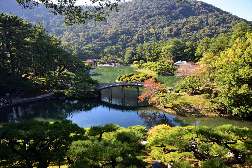 栗林公園2497054