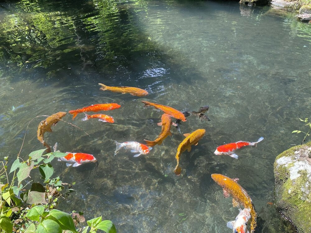 客室
