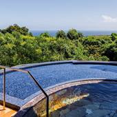 亀の井ホテル 伊豆高原（静岡県 旅館） / 2