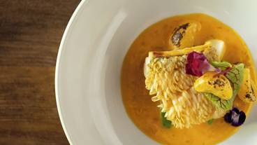 食事・飲み物 / 1