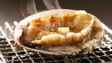 食事・飲み物 / 19