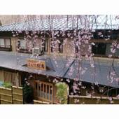 山紫水明の宿 美吉野 桜庵（奈良県 旅館） / 4