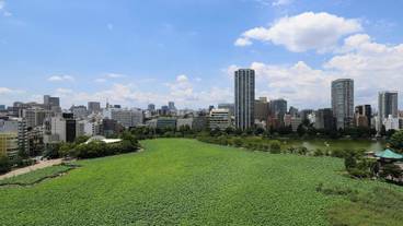 シティ ビュー / 12