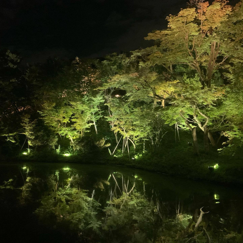 ririripkさんの写真 / 2