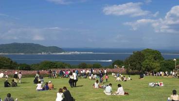 観光スポット / 15