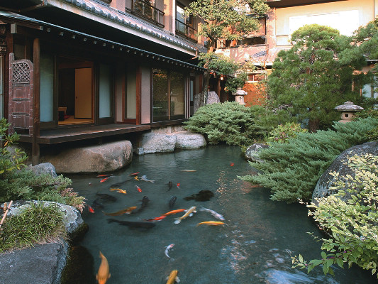 日本庭園内の池