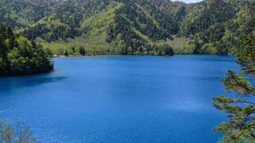 観光スポット / 15