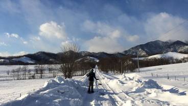 施設の敷地 / 16