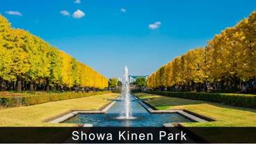 シティ ビュー / 39